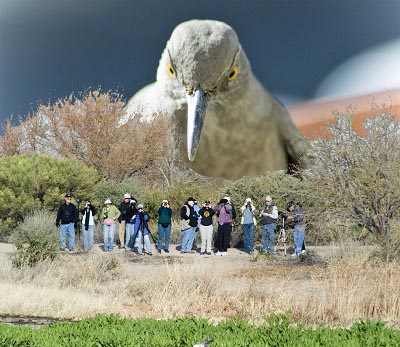 BOTH_JimVanHousenBirdWatchers